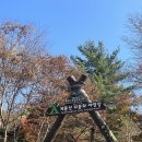 계룡산동학사자동차야영장 이미지