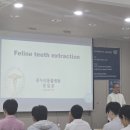 김천 내일동물병원 이미지