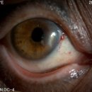 홍안과의원 이미지