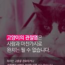 개금동물병원 이미지