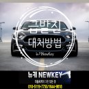 뉴키(주) 이미지