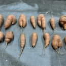 경용농장 이미지