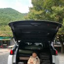 운문사계절캠핑장 이미지