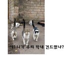 표정