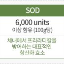 종합수퍼 이미지