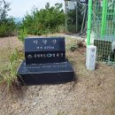 용산면사무소 버스정류장 이미지