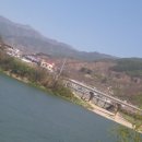 D.C장터 이미지