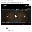 개구리 소년 범인은 &#34;동네 양아치 무리&#34; 라는 글이 올라옴 .jpg 이미지