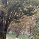 벌곡 멍발리 | 대전 근교 논산 가볼 만한 곳 카페 추천｜카페벌곡 아이와 함께 카약과 불멍 제대로 즐기기