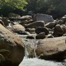 영해농장 이미지