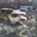 오목낚시터(신창낚시터) 이미지