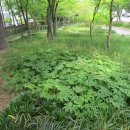 상삼공원 이미지