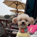 몽글몽글