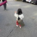 대신오토 이미지