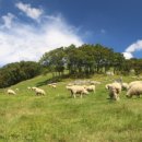 라라목장 이미지