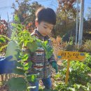 젠아이 어린이집 이미지