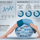 독핏코리아 | 발레핏 효과와 홈트레이닝 주의점