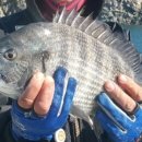 바다향기블루 이미지