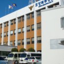 지금,돼지 이미지