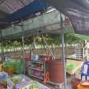 해풍농장 이미지