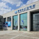 통영 수산과학관, 아이랑 가기 좋은 실내 체험관! 관람 후기 실내데이트 입장료 주차 정보