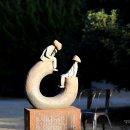 천과나무 이미지