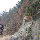 상동농협주유소 이미지