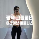어라이브 피트니스 | 평택 그룹피티 비전동 헬스장 어라이브 피트니스 한 달 후기