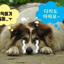 좋은헬스라이프