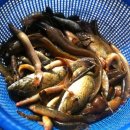 강낭골집 이미지