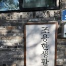 조용한생활 민박 | [제주 구좌] 제주숙소추천 독채 조용한생활