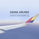 살롱드뉴욕 | [웨딩ep.17] 뉴욕 칸쿤 신혼여행 아시아나 항공권 다구간 엑스트라 레그룸 발권 후기 + 약간의 팁