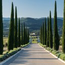 편백나무숲민박 이미지