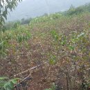 덕이네농장 이미지