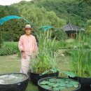 반갑습니다.1.대전 현충원 뜨락에서 2.암자에서 함께 사는 예비시인 김동수님과 함께 3. 암자에서 피운 참조팝나무 꽃의 미소 이미지