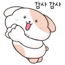 뷰티앤숲칼프