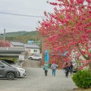 우곡보건지소 이미지