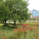 서울식물원 이미지