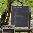 무릉세탁 이미지