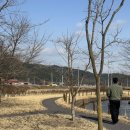 빨래터캠핑장 이미지