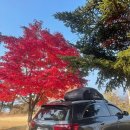 애향동산 이미지