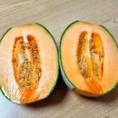 다인프레쉬