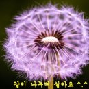 주식회사 니즈