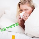 베어짐(BEAR GYM) 이미지