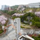 전남대학교 법학전문대학원 이미지