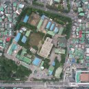 국립수의과학검역원중부 | [이현정]살려낸 것과 버려진 것으로 안양을 기억하다(2016.09.28)