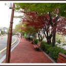 조선대학교병원 이미지