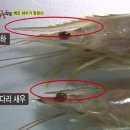 우성수산 이미지