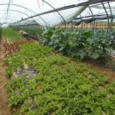 손씨농장 이미지