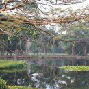 알비티레인보우투어 이미지